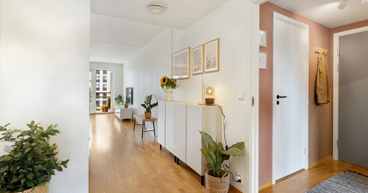 peinture living appartement avec entrée en terracotta et murs du salon en blanc.